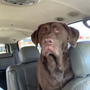 Meet your Posher, Nicholas